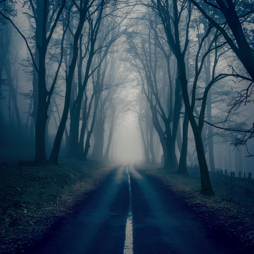 A foggy path through a forest, with just enough light to see a few steps ahead.